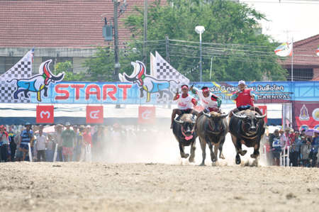 Chonburi, Thailand - OCTOBER 29, 2012: Riders and their Buffalo are racing to win in World Buffalo Carnival.のeditorial素材
