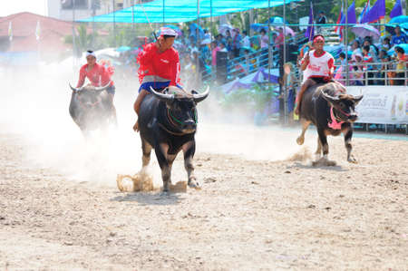 Chonburi, Thailand - OCTOBER 29, 2012: Riders and their Buffalo are racing in order to win at Buffalo Racing Festival.のeditorial素材