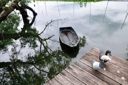 Metal ducks on wood corridor near river in chic scene の写真素材