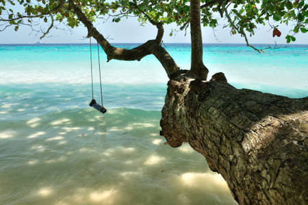 A swing on the beach at Similan island, Thailand の写真素材