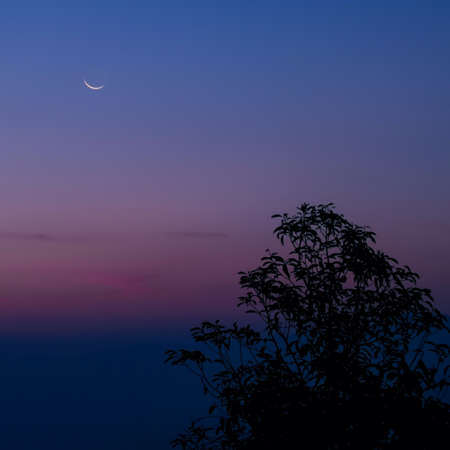 Moon in twilight sky before sunset.の素材