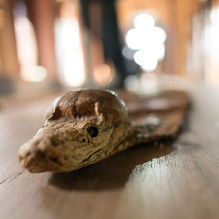 Stuffing snake on the table の写真素材