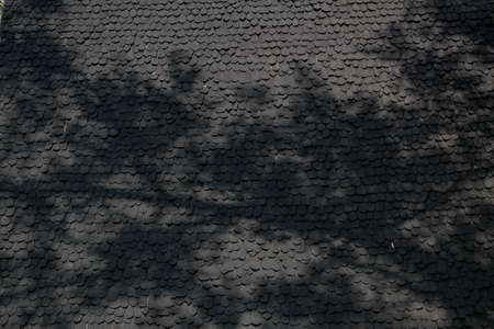 Shadow of tree branch on black wooden roof tile の写真素材