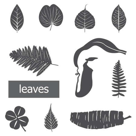 Leaves icon set のイラスト素材