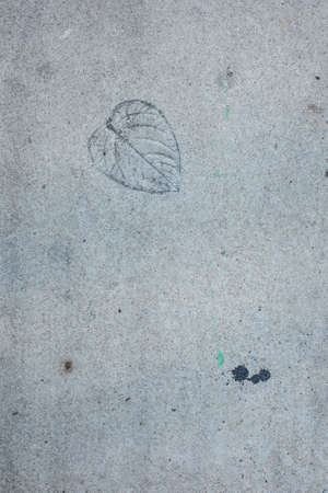 Exposed concrete floor with leaf texture.の写真素材