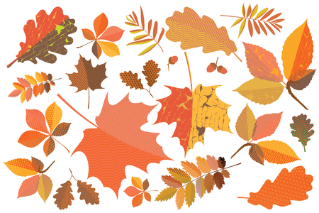 Set of colorful autumn leaves with geometric texture and craquelureのイラスト素材