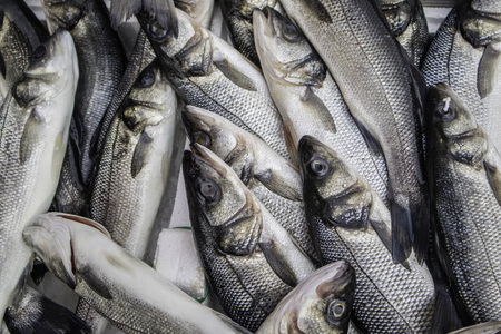 Sea bass at the fish marketの写真素材