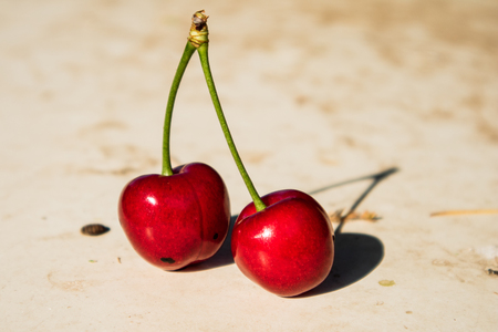 Juicy red cherries on a light backgroundの写真素材
