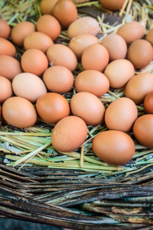Eggs in a basket at the farmの写真素材