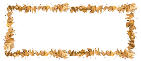 Autumn or winter frame make with leaves on white backgroundの写真素材