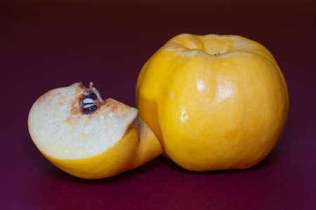 Ripe yellow quince fruit on a dark red backgroundの写真素材