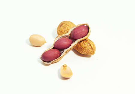 Roasted peanuts in shell on white backgroundの写真素材