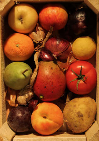 Gifts of Natureのeditorial素材