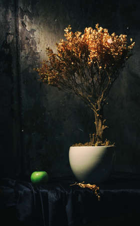 forbidden fruitの写真素材