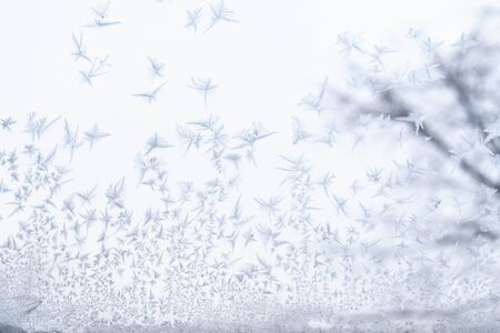 Frosted glass at -5 Celsius degrees. Winter at the Krasnodar, south Russia.の写真素材