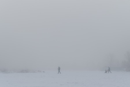 Foggy winter morning in a vacant lot. Thick fog. Visibility of 30 meters.の写真素材