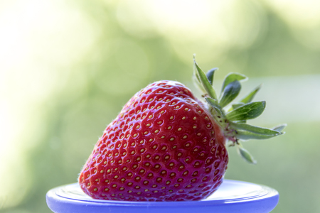 Red, juicy, ripe strawberry on a motley backgroundの写真素材