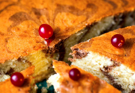 Cut slices of homemade cake Zebra and cranberriesの写真素材