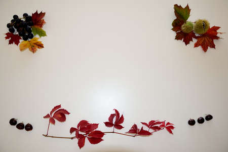 Autumn Frameの写真素材