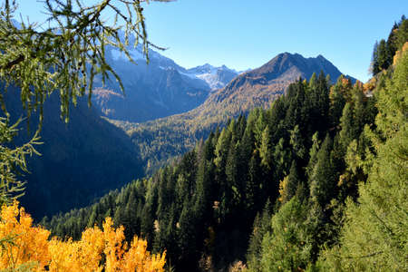 Adamello in autumnの写真素材