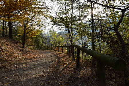Autumn path in Valtellinaの写真素材