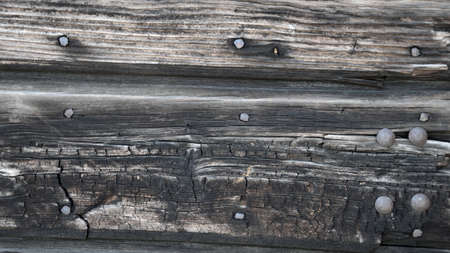 Old wooden door backgroundの写真素材