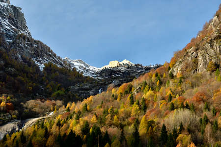 Picture of Valle del Ferro in Raethian Alps.の写真素材