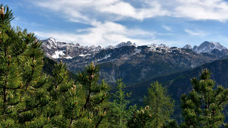 Picture of one of the most magnificient alpine valley, the Valmalenco.の写真素材