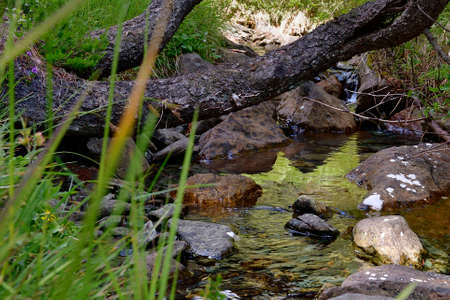 Close up of a stream on the mountains, with stones, trunks and flowing water.の写真素材