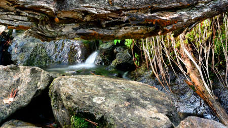Close up of a stream on the mountains, with stones, trunks and flowing water.の写真素材