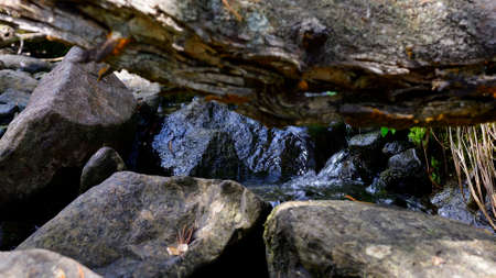 Close up of a stream on the mountains, with stones, trunks and flowing water.の写真素材