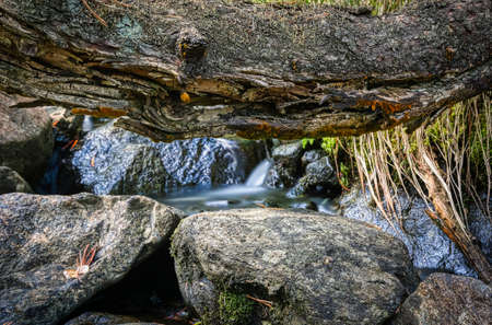 Close up of a stream on the mountains, with stones, trunks and flowing water.の写真素材