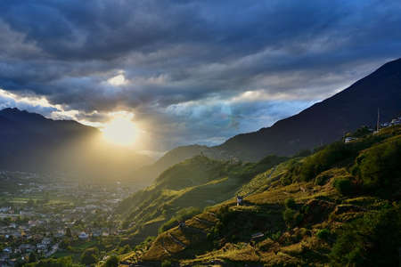 View of the vineyard over Sondrio town, lightened by the sunset beams.の写真素材