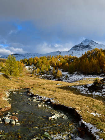 The Campagneda river lead the viewer to Pizzo Scalino mountain (3300 mt).の写真素材