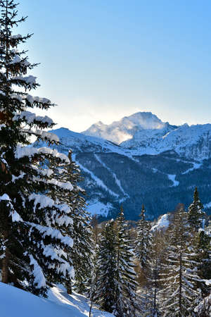 View of PalÃ¹ area with Disgrazia mountain peak in the backgroundの写真素材