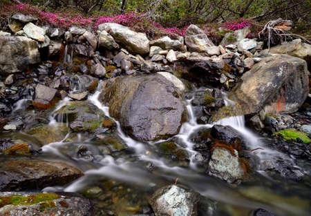 A creek in the heart of the Alps create a beautiful set of waterfallの写真素材
