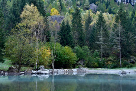 A corner of the lake named Bidet della Contessa with clear water and woodland with yellow and green colorsの写真素材