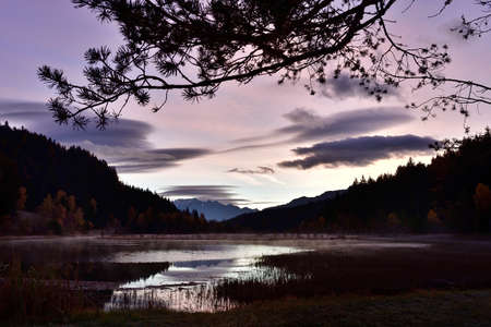 Pian di Gembro is a natural park in the center of the Alps. The colors in autumn at the sunrise make this place magnificent.の写真素材