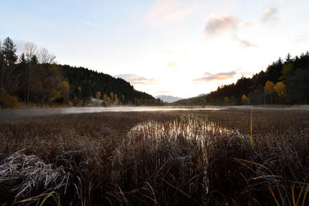Picture of the peat bog in Piangembro in autumn.の写真素材