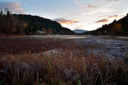 Picture of the peat bog in Piangembro during a cold autumn morningの写真素材