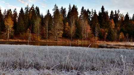 The contrast between the white frozen grass and the color of the trees in autumn.