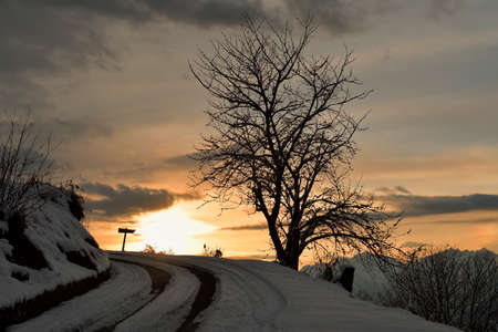 Winter picture of a country road at the sunset.の写真素材