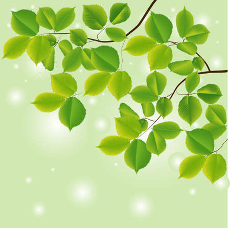 Abstract background with green leaves. Vector illustrationのイラスト素材
