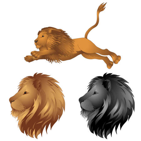 Lions in the jump. a lion's head. vector illustrationのイラスト素材