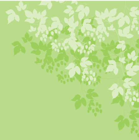 abstract background with green leaves. vector illustrationのイラスト素材