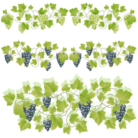 abstract background with green leaves. illustrationのイラスト素材