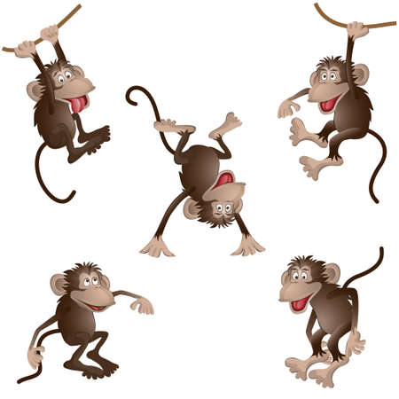 funny monkey in different poses. vector illustration