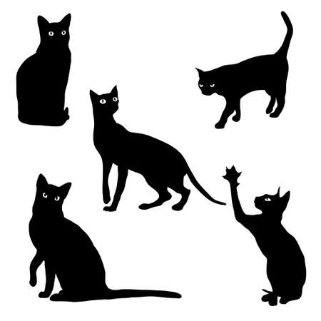 Set of cats Silhouettes on a white backgroundのイラスト素材