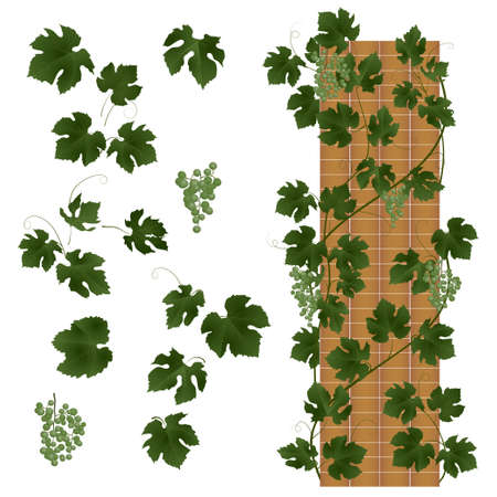 abstract background with green leaves. vector illustrationのイラスト素材