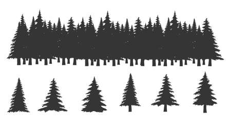 Set of vector horizontal banner silhouettes of coniferous treetops forest spruce,fir, fir-tree .のイラスト素材